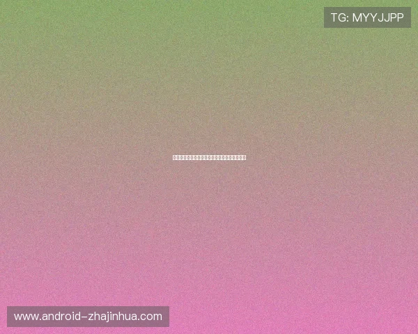 小斯塔德迈尔：从篮球场到人生转折的传奇之路